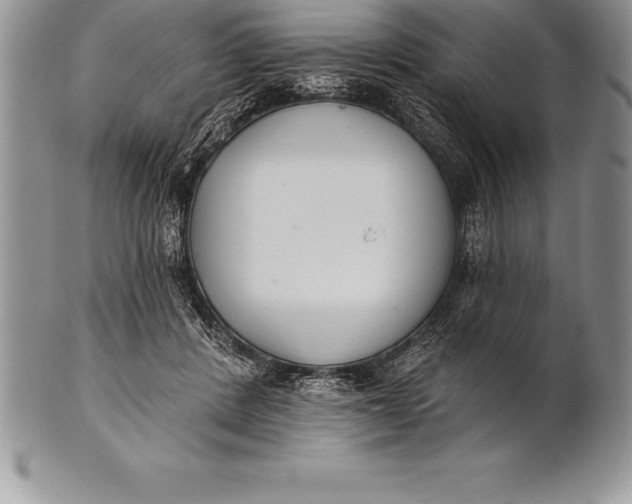 X0000100410408200806201804