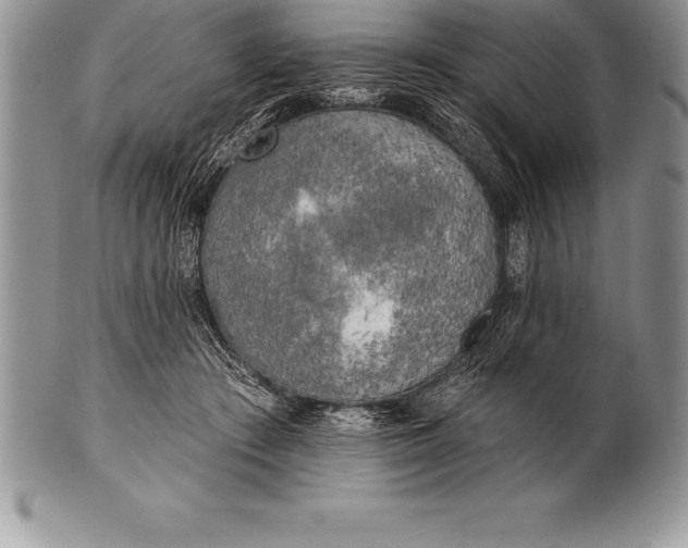 X0000100410409200806201804