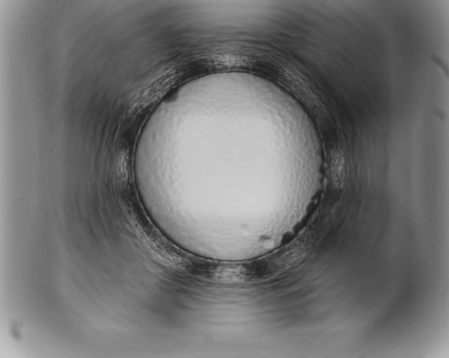 X0000100410410200806201804