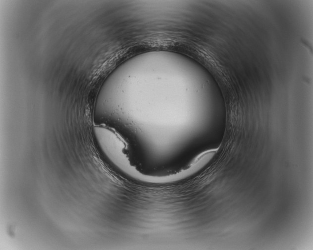 X0000100410411200806201804