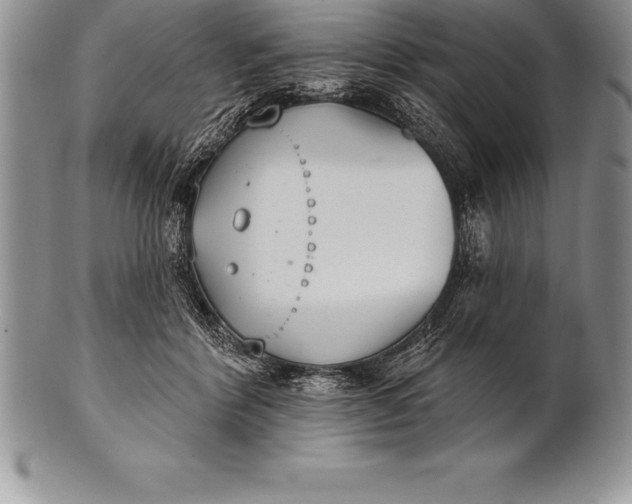 X0000100410412200806201803