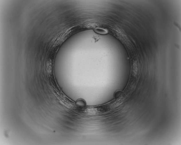 X0000100410413200806201803