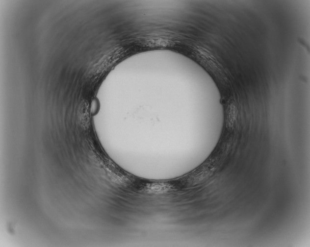 X0000100410414200806201803