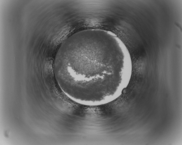 X0000100410415200806201803