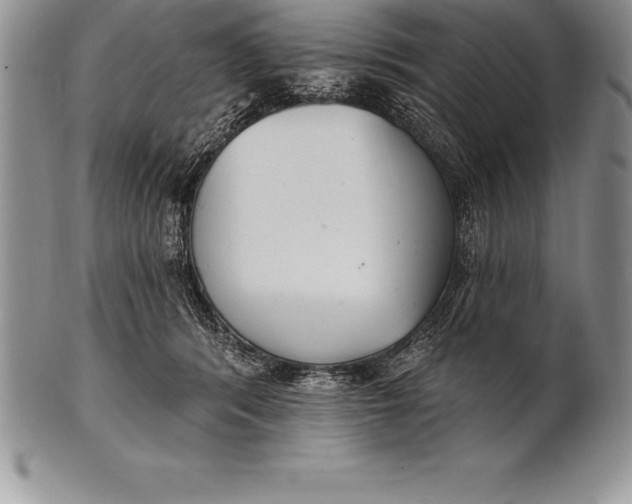 X0000100410416200806201803