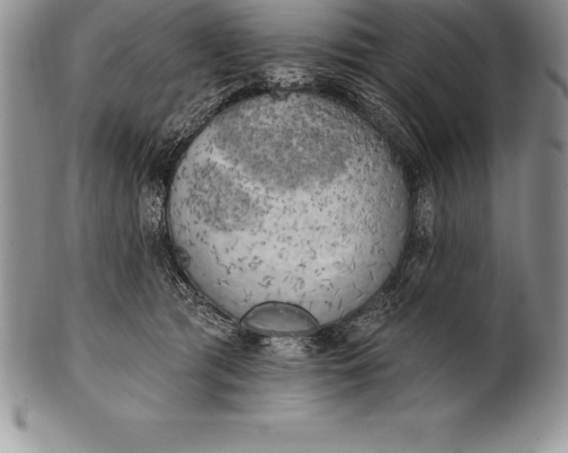 X0000100410417200806201803