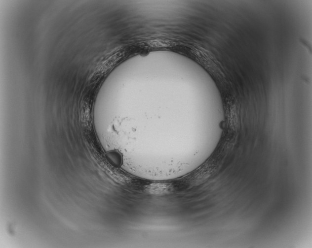 X0000100410418200806201803