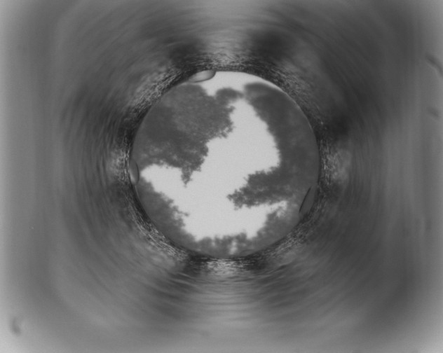 X0000100410419200806201803