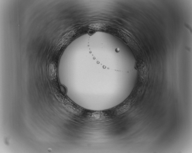 X0000100410420200806201803