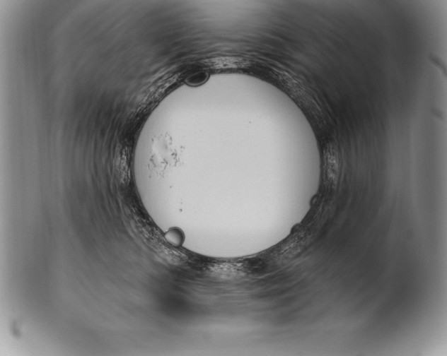 X0000100410422200806201803