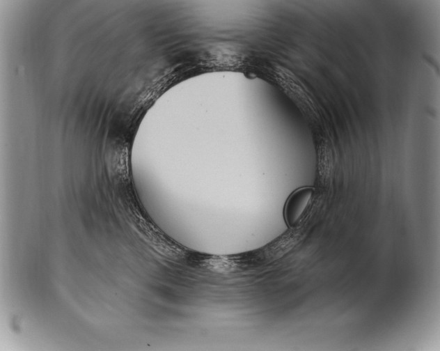 X0000100410425200806201803