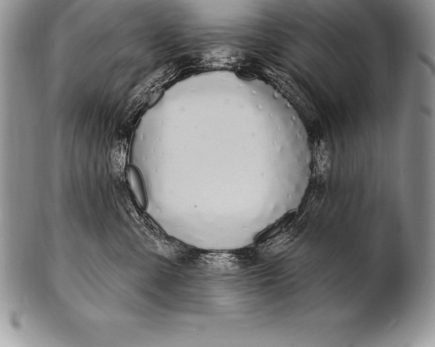 X0000100410427200806201803