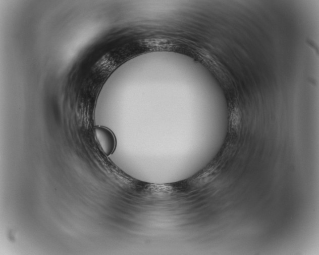 X0000100410429200806201803