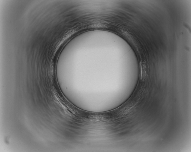 X0000100410435200806201803