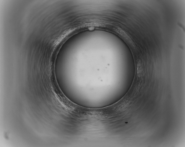 X0000100410436200806201803