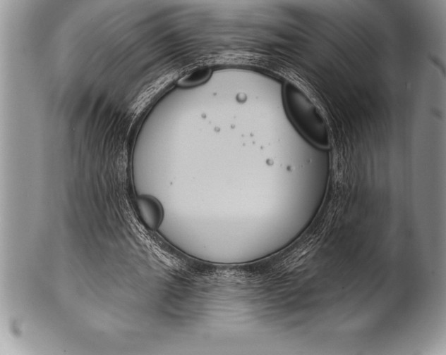 X0000100410437200806201803