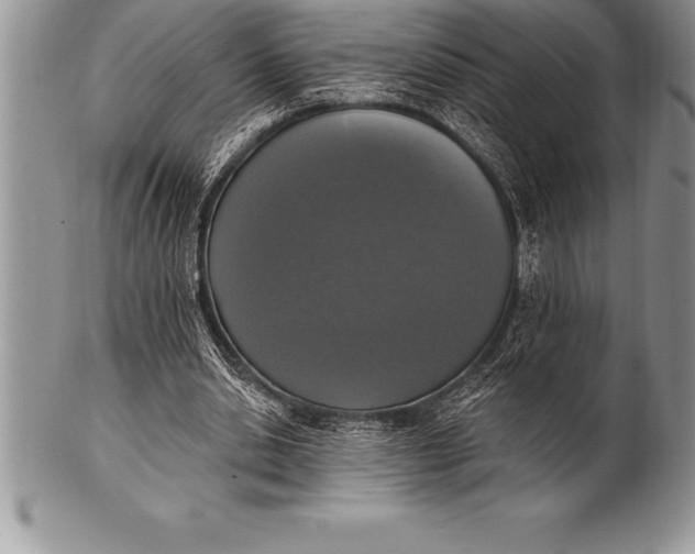 X0000100410438200806201803