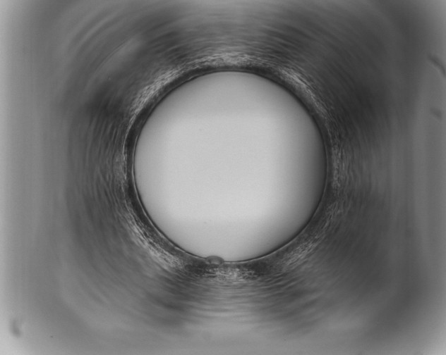 X0000100410439200806201803