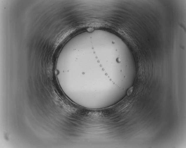 X0000100410440200806201803