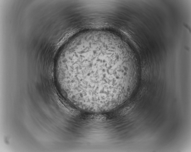 X0000100410443200806201803