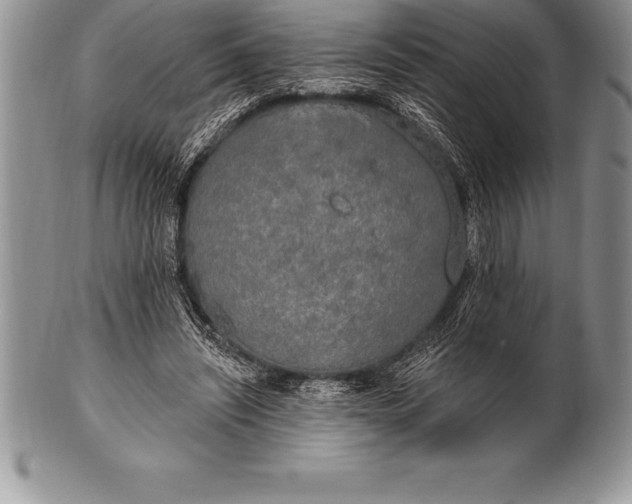 X0000100410444200806201803