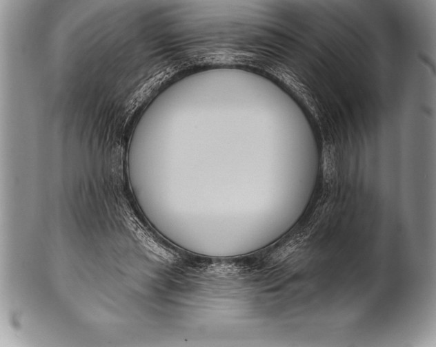 X0000100410445200806201803