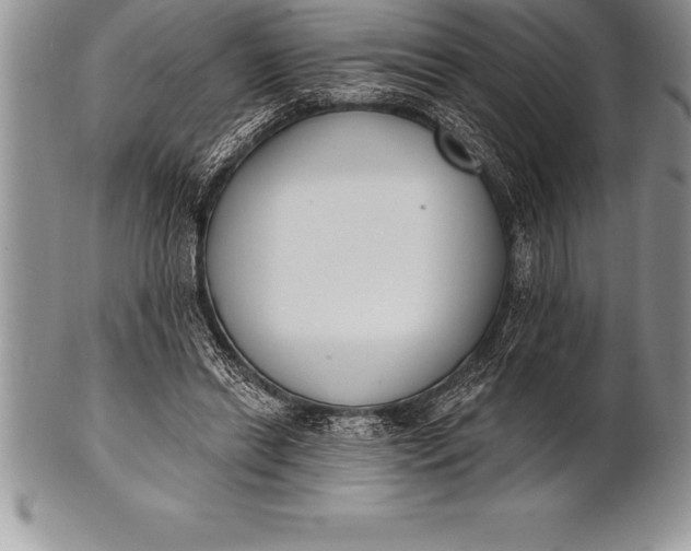 X0000100410446200806201803