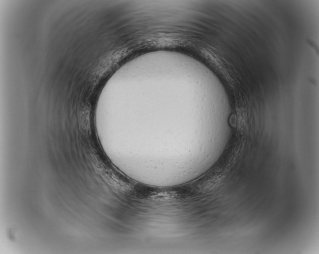 X0000100410447200806201803