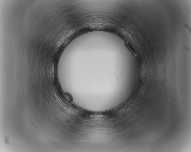 X0000100410448200806201803