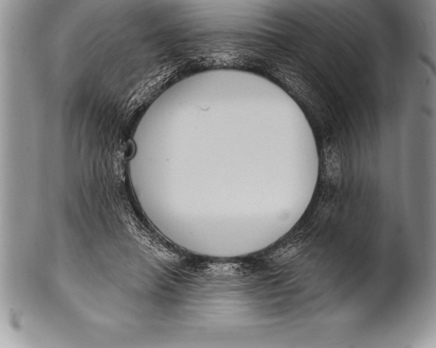 X0000100410450200806201803