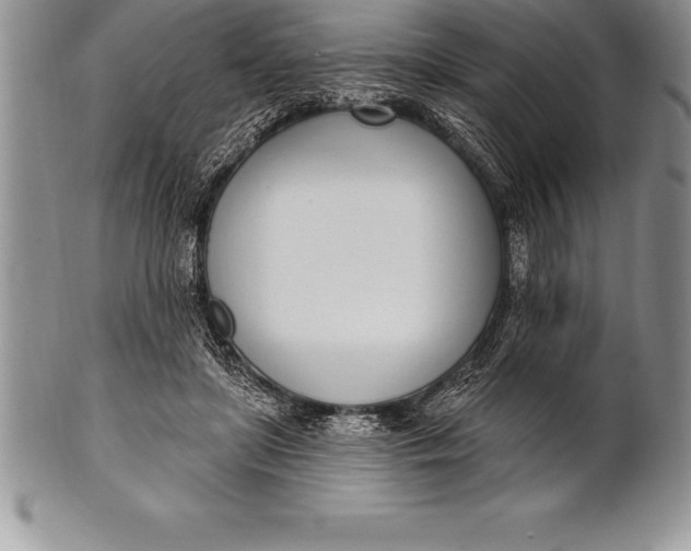 X0000100410451200806201803