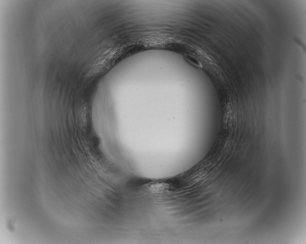 X0000100410452200806201803