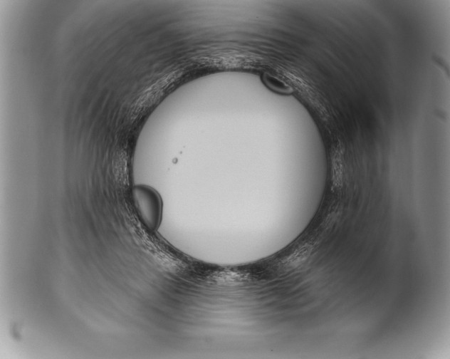 X0000100410453200806201803