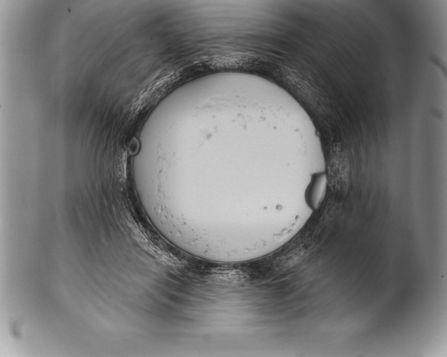 X0000100410454200806201803