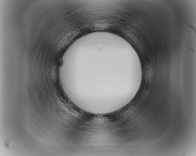 X0000100410455200806201803