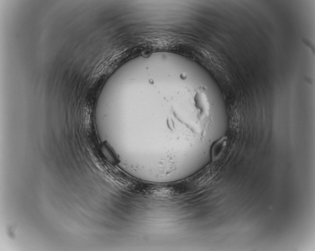 X0000100410456200806201803