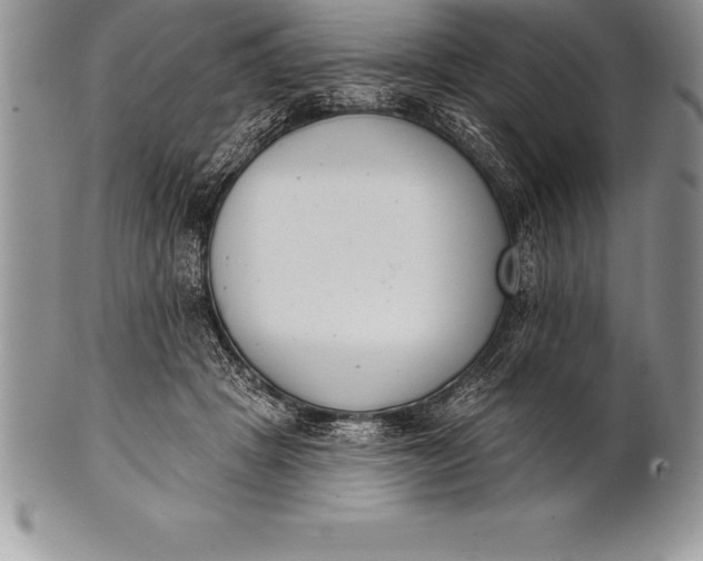 X0000100410457200806201803