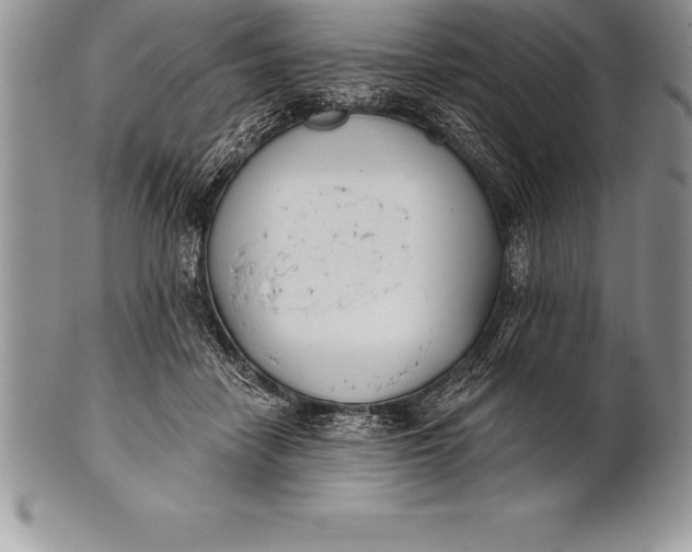 X0000100410458200806201803