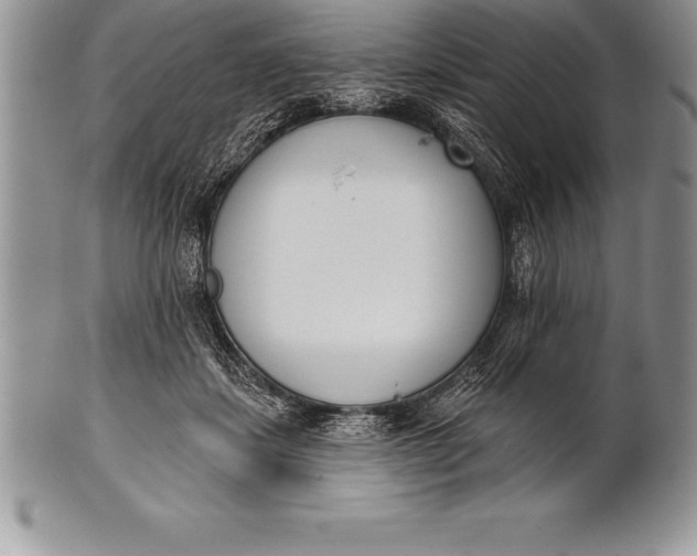 X0000100410459200806201803