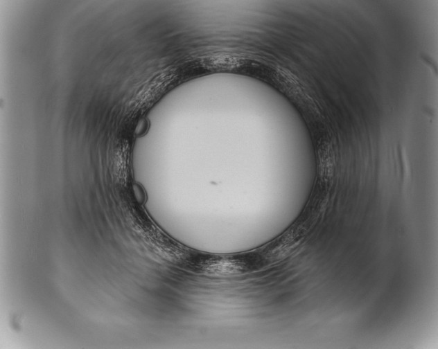 X0000100410460200806201803