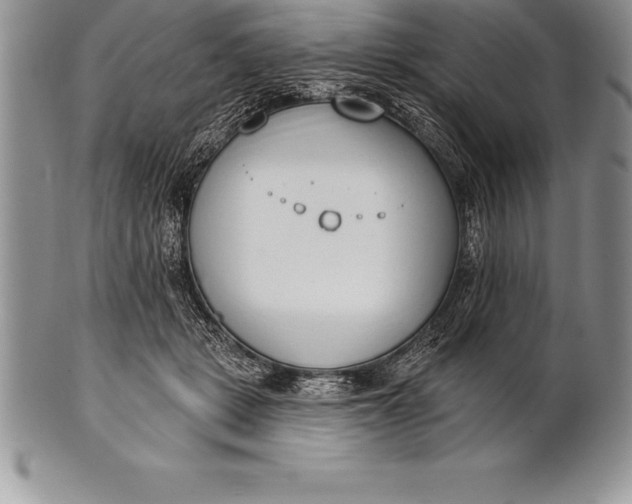 X0000100410461200806201803