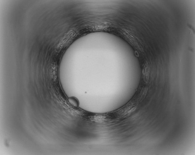 X0000100410462200806201803