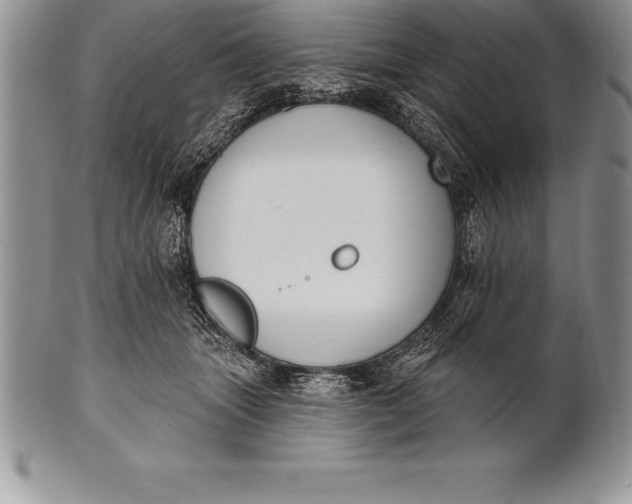 X0000100410463200806201803