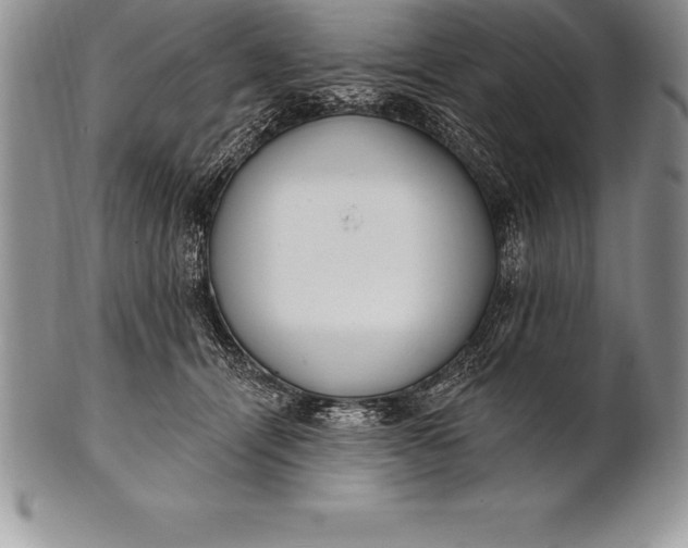 X0000100410464200806201803