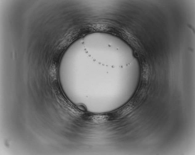 X0000100410465200806201803