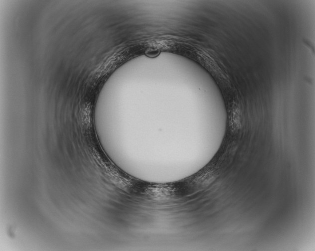 X0000100410466200806201803