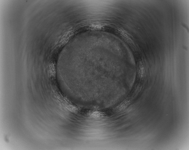 X0000100410467200806201803