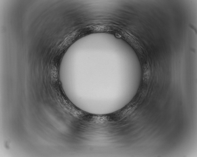 X0000100410469200806201803