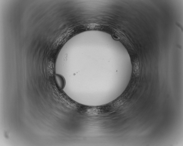 X0000100410470200806201803