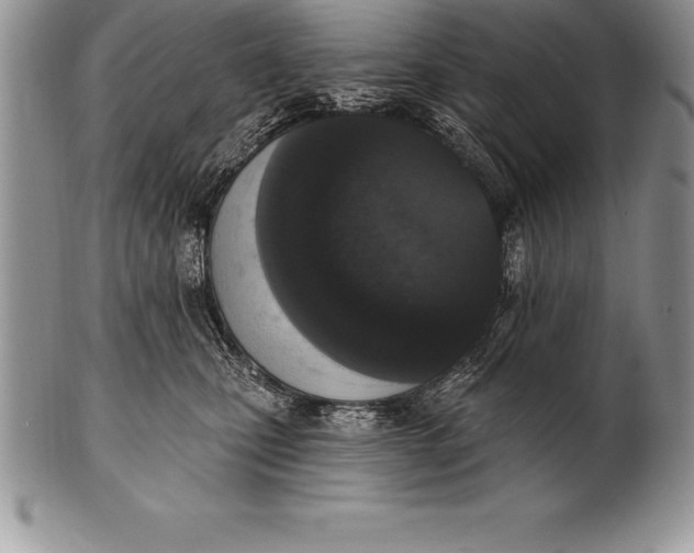 X0000100410471200806201803